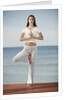 Woman doing yoga by the ocean by Anonymous