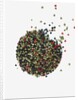 Peppercorns by Anonymous