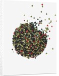 Peppercorns by Anonymous