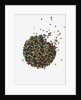 Peppercorns by Anonymous