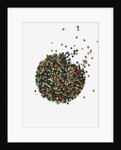 Peppercorns by Anonymous