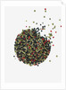 Peppercorns by Anonymous