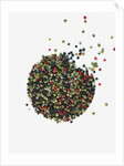 Peppercorns by Anonymous
