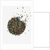 Peppercorns by Anonymous