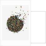 Peppercorns by Anonymous