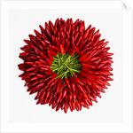 Chili peppers by Anonymous
