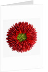 Chili peppers by Anonymous