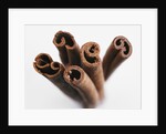 Cinnamon sticks by Anonymous