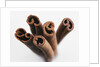 Cinnamon sticks by Anonymous
