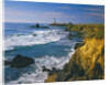 Pigeon Point Lighthouse by Anonymous