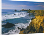 Pigeon Point Lighthouse by Anonymous