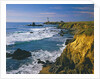 Pigeon Point Lighthouse by Anonymous