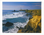 Pigeon Point Lighthouse by Anonymous