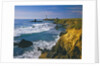 Pigeon Point Lighthouse by Anonymous