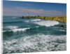 Pigeon Point Lighthouse by Anonymous