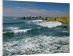 Pigeon Point Lighthouse by Anonymous