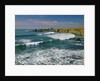 Pigeon Point Lighthouse by Anonymous