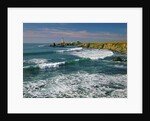 Pigeon Point Lighthouse by Anonymous