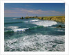 Pigeon Point Lighthouse by Anonymous