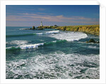 Pigeon Point Lighthouse by Anonymous