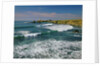 Pigeon Point Lighthouse by Anonymous