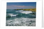 Pigeon Point Lighthouse by Anonymous