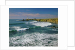 Pigeon Point Lighthouse by Anonymous