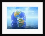 Earth Floating in Water by Anonymous