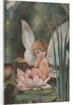 Illustration of Fairy on Water Lily by Fred Spurgin