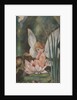 Illustration of Fairy on Water Lily by Fred Spurgin