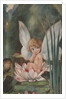 Illustration of Fairy on Water Lily by Fred Spurgin