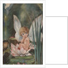 Illustration of Fairy on Water Lily by Fred Spurgin