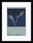 Pisces Postcard by Paul Dubosclard