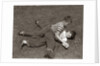 1950s Two Boys Wear Tee Shirts Blue Jeans Playing Rough Fighting Wrestling On The Grass by Anonymous