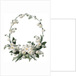 Illustration of White Flower Border by Anonymous