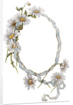 Illustration of Daisy Border with Ribbon by Anonymous