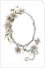 Illustration of Daisy Border with Ribbon by Anonymous
