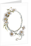 Illustration of Daisy Border with Ribbon by Anonymous