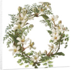 Illustration of Honeysuckle Border by Anonymous