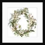 Illustration of Honeysuckle Border by Anonymous