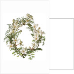 Illustration of Honeysuckle Border by Anonymous