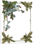 Illustration of Violet Border by Anonymous