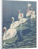 Illustration of Flock of Swans by Coles Phillips