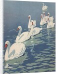 Illustration of Flock of Swans by Coles Phillips