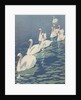 Illustration of Flock of Swans by Coles Phillips