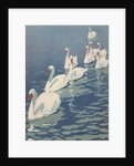 Illustration of Flock of Swans by Coles Phillips