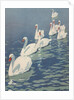 Illustration of Flock of Swans by Coles Phillips