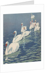 Illustration of Flock of Swans by Coles Phillips