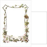 Illustration of Pink and White Flower Border by Anonymous