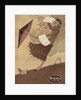 McCallum Silk Hosiery Advertisement by M.C. Woodbury